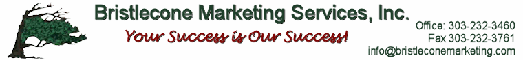 Bristlecone Marketing